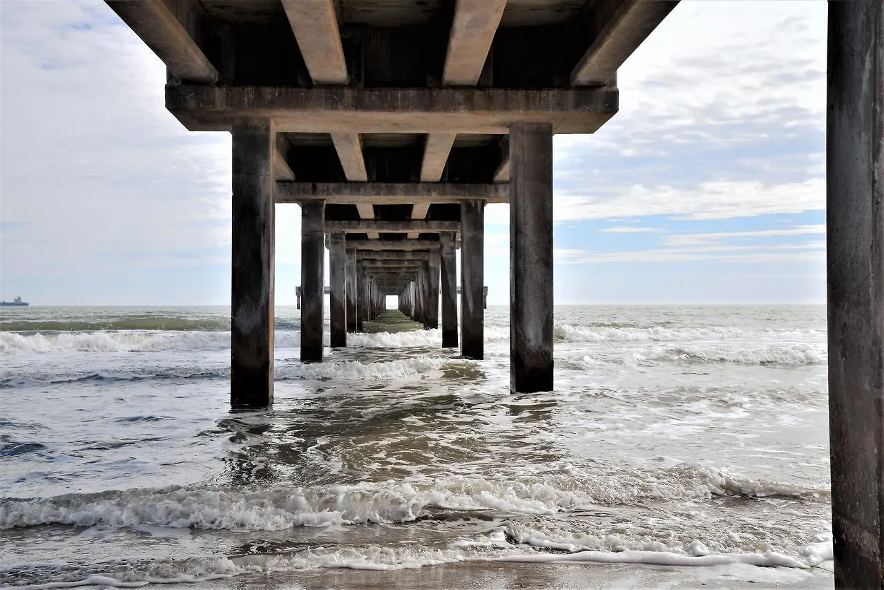 Dolphin House On The - Four Bedroom Ferienhaus Port Aransas